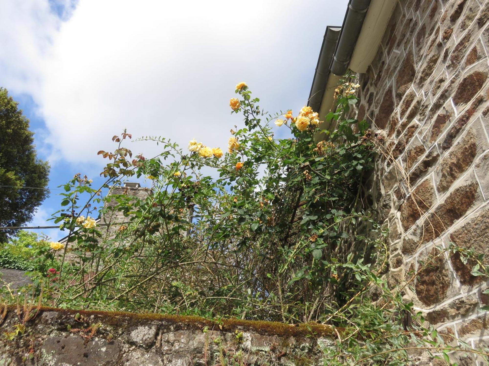 Le Jardin A Mordreuc Bed & Breakfast Pleudihen-sur-Rance Luaran gambar